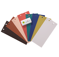 Color Trends 2023 Bundle