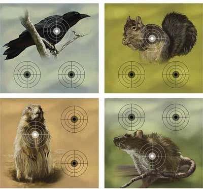 Varmint Targets 9.75" X 9" Full Color Paper, 20 Pack - Model 0496