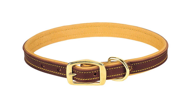 Deer Ridge Dog Collar, Leather/Lined, 1 x 19 In.