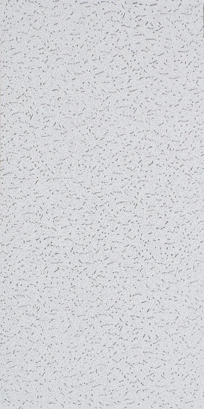Ceiling Tile, Fifth Avenue, 2 x 4-Ft.