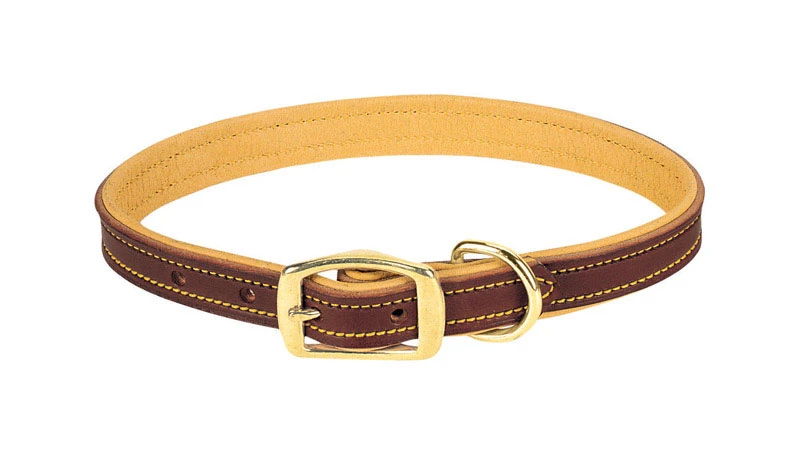 Deer Ridge Dog Collar, Leather/Lined, 1 x 21 In.