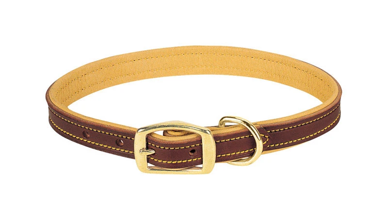 Deer Ridge Dog Collar, Leather/Lined, 3/4 x 15 In.