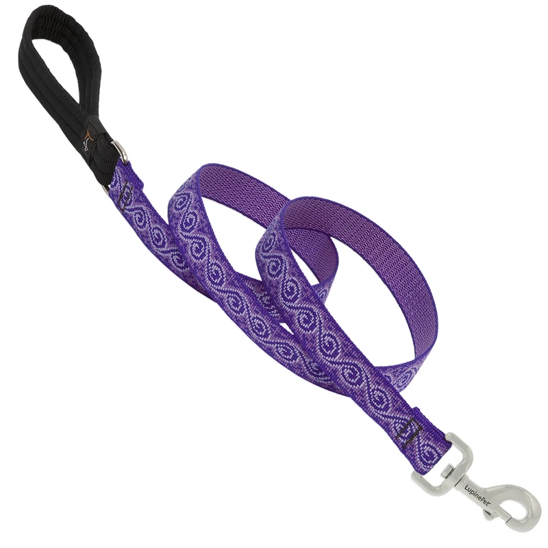 Original Designs Multicolor Jelly Roll Nylon Dog Leash 6 Feet