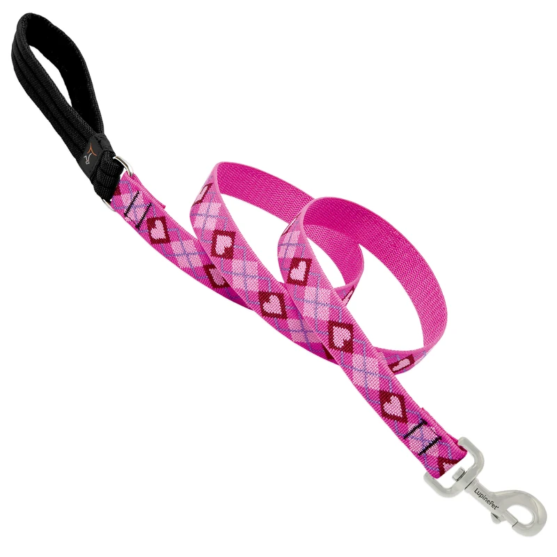 Original Designs Multicolor Puppy Love Nylon Dog Leash 6 Feet