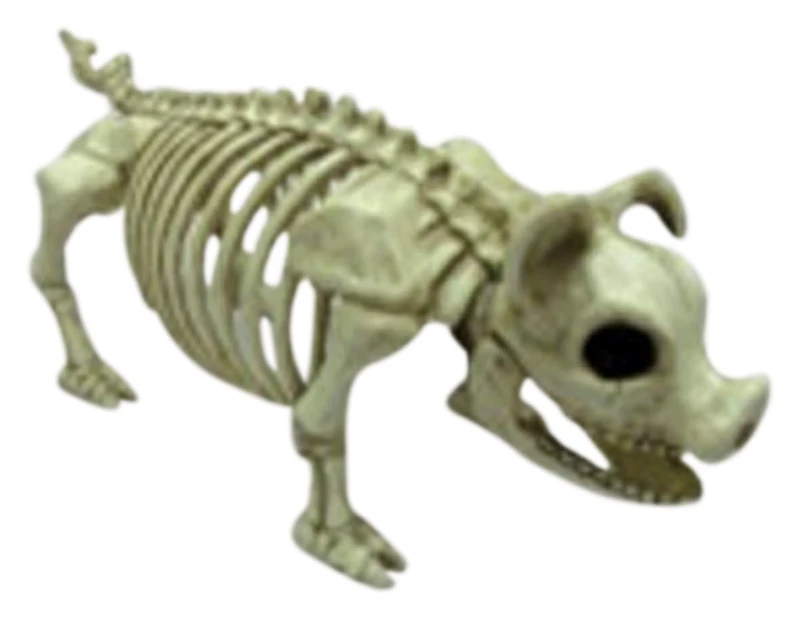 Pig Skeleton Yard Decoration 6.5" Height Halloween Indoor Outdoor