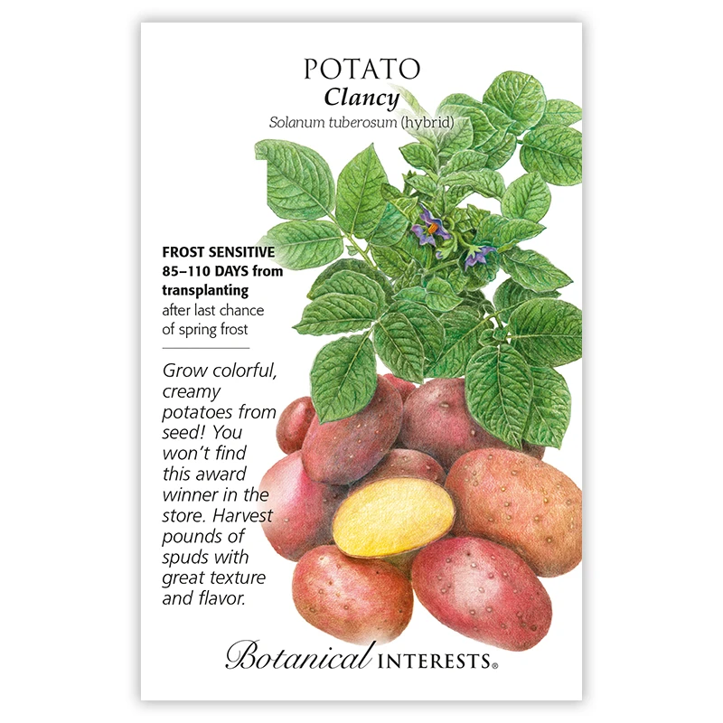 EPIC GARDENING Hybrid Potato Seeds Awardwinning Variety For Home