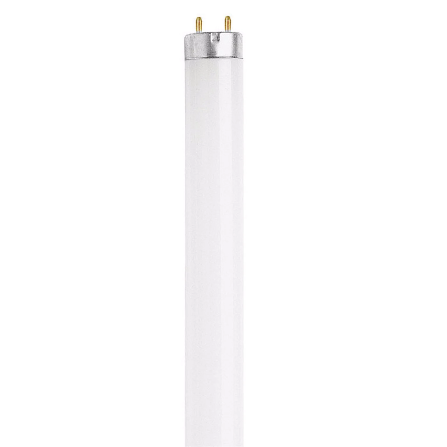 15w T8 18in Cool White Fluorescent Bulb 4100k G13 Base 1 Pk