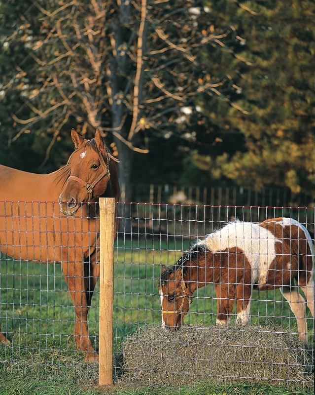 Steel & Wire Horse Fence, 72-In. x 100-Ft.