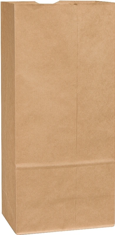 80078 Bbl Sack, Kraft Paper Grocery Bags, 500 Count