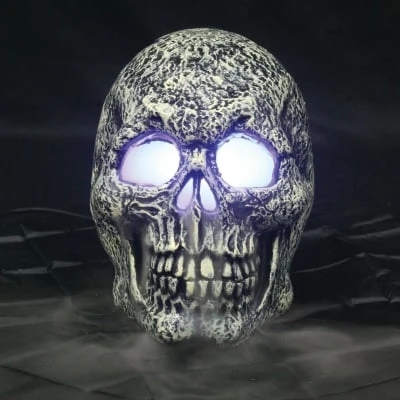 Seasons Skull Mister Lighted Halloween Decoration 8 in. H x 6 in. W 1 pk