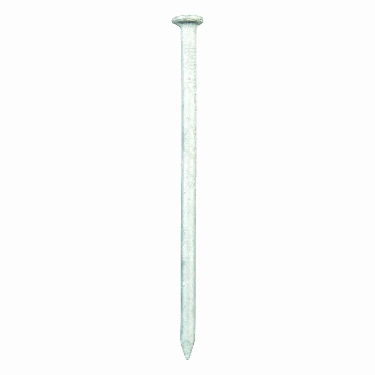 Pro-fit 40d 5 In. L Common Galvanized Steel Nail Flat Head 50 Lb. Bulk Pack