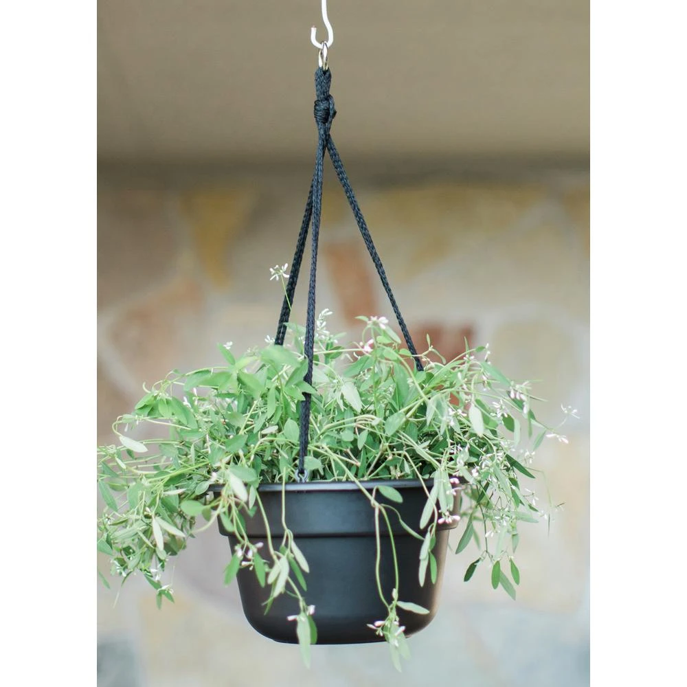 Bloem Dura Cotta 12 In. Plastic Black Hanging Plant Basket