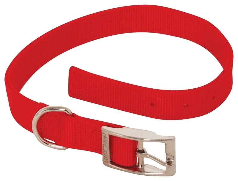 Aspen Pet 21326 22 x 1 2Ply Nylon Red Collar