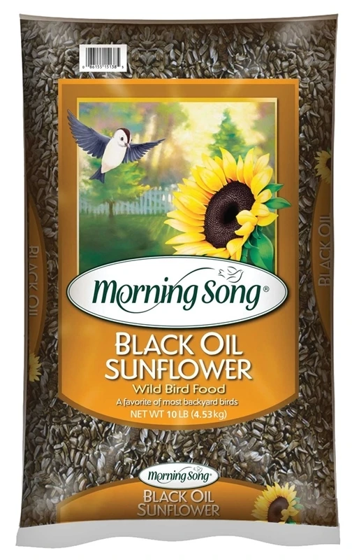 20 Pound Black Oil Sunflower Wild Bird Seed For Backyard Birds