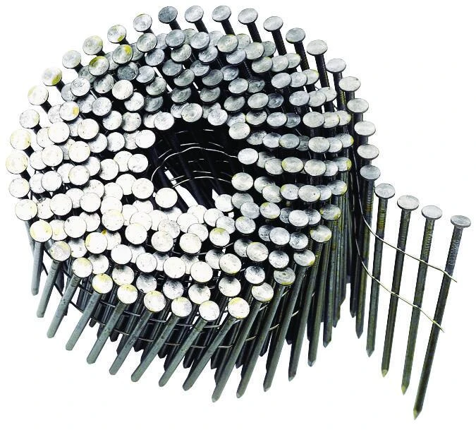 Collated Coil Nails, Plain Shank 10D, Plain Shank, 3 x .120 In., 2,700-Ct.