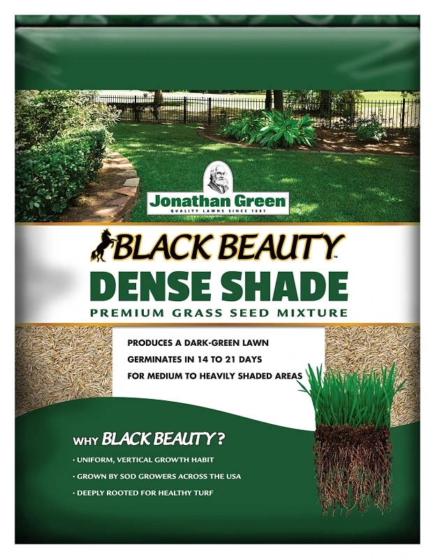 Black Beauty Dense Shade Grass Seed, 1 Lb Bag, 600 Sq-ft Coverage