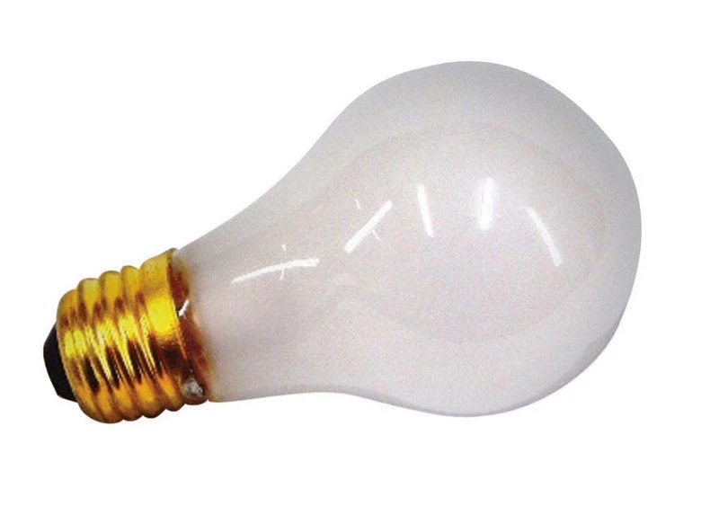 LIGHT BULBS 100 WATT 12V