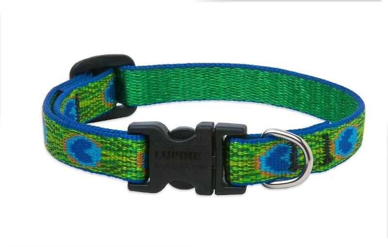 32633 0.5 Inch Tail Feathers Adjustable Dog Collar 6 To 9 Inch