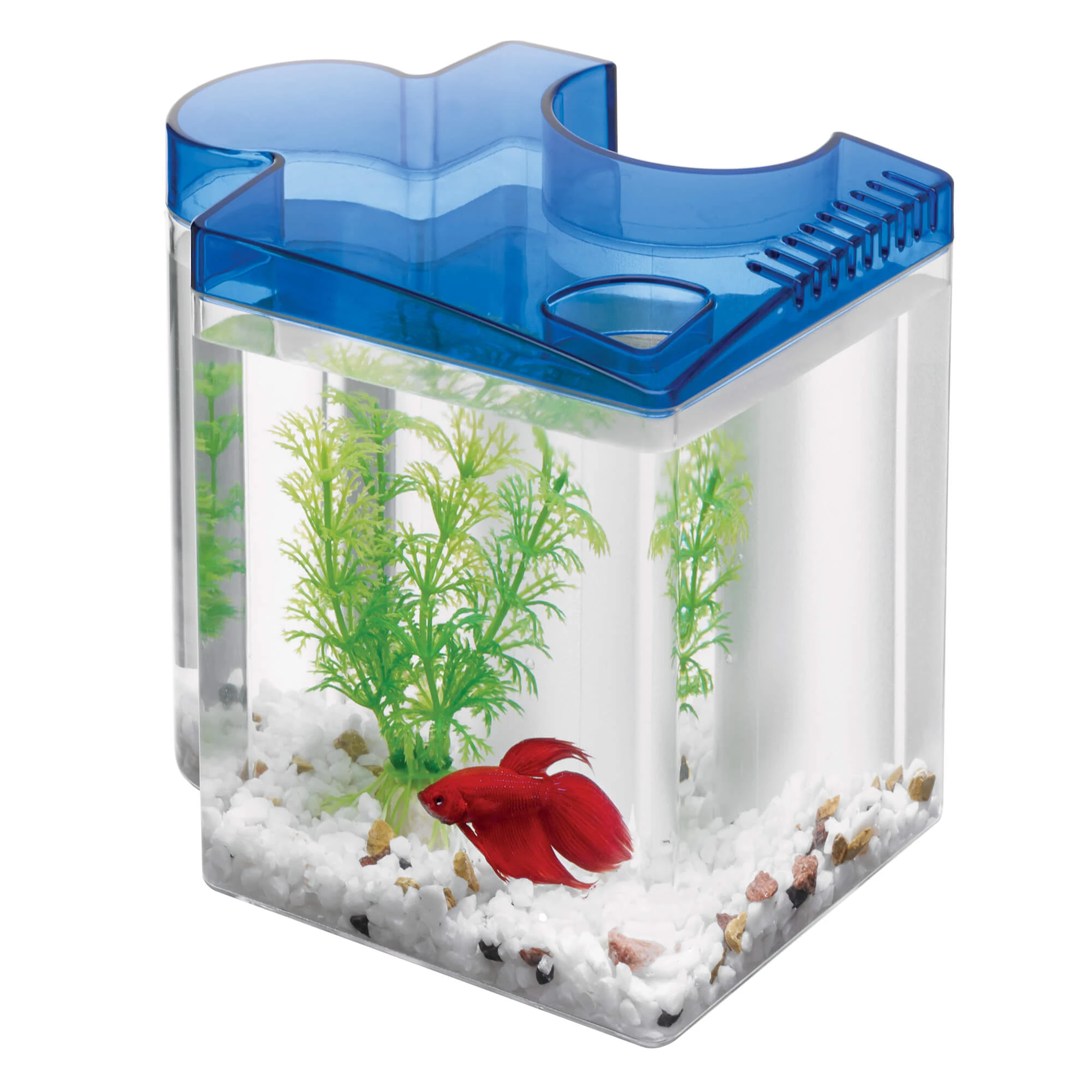 Betta Half Gallon Puzzle Tank Kit With Blue Lid And Accessories