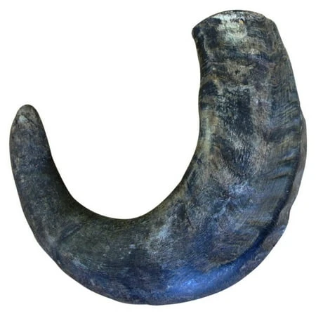 Large Water Buffalo Hornz Natural Chew Treat For Dogs