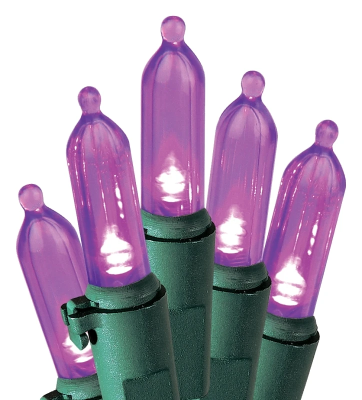 U10e406h 50l Purple Led Mini Light Set, 120v, 4.8w, 13.58 Ft
