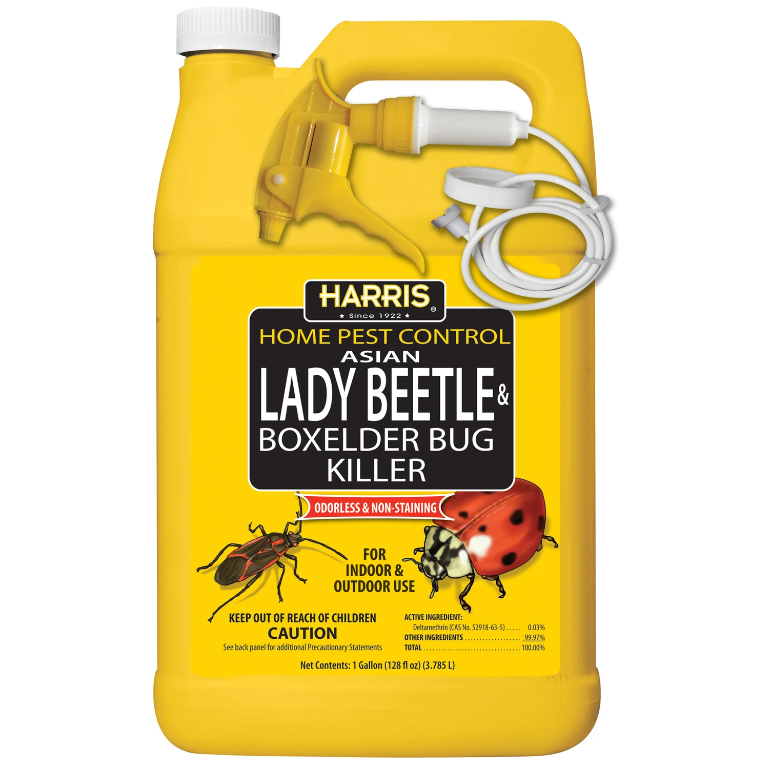 Home Pest Control Insect Killer Liquid 1 Gallon - Effective Against Asian Lady Beetles & More