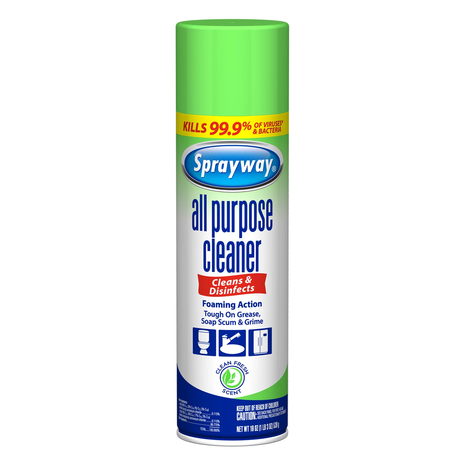 All-Purpose Cleaner, Aerosol, 19 oz.