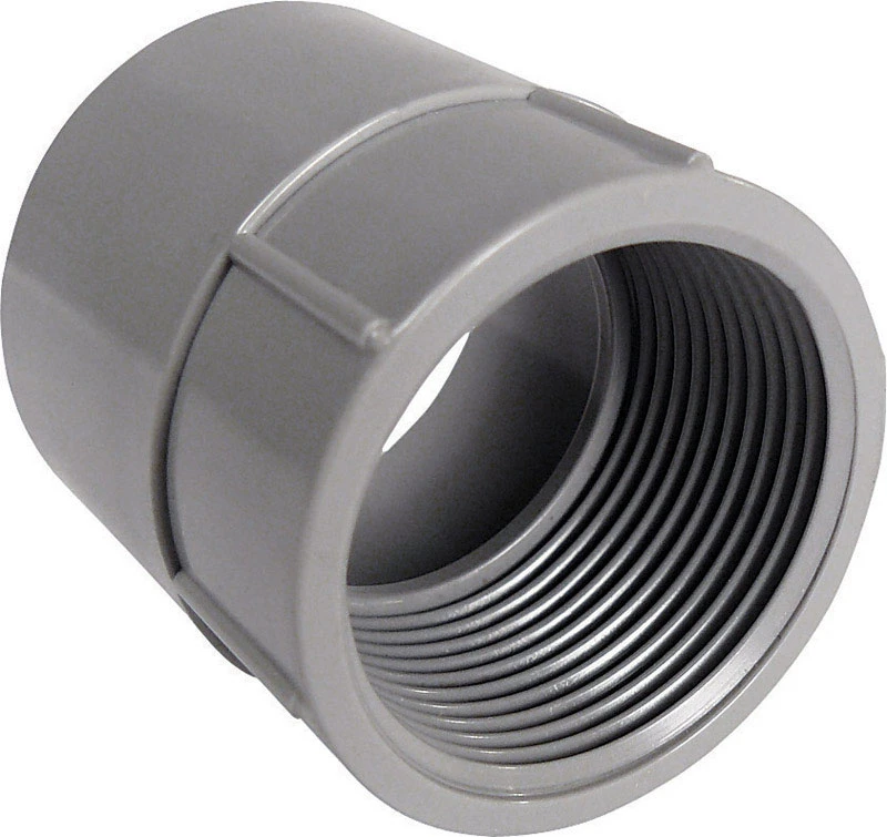 Cantex 2 in. Dia. PVC Female Adapter 1 pk