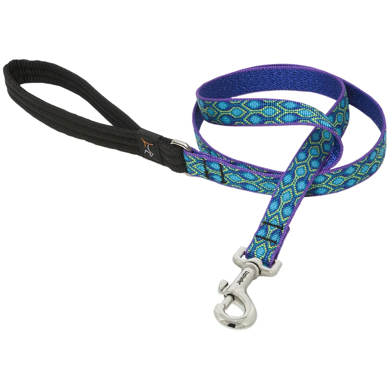 3/4-inch Wide Rain Song Nylon Dog Leash, 4-feet Long With Padded Handle