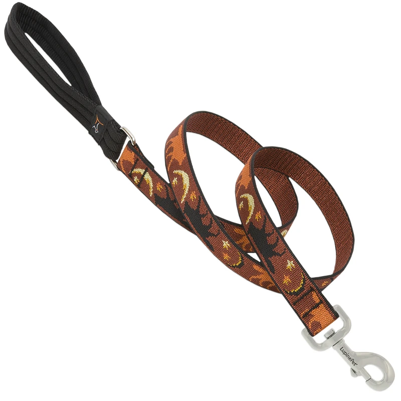 Pet Original Designs Multicolor Shadow Hunter Nylon Dog Leash 1 Inch 4 Feet