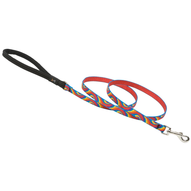 Pet Original Designs Multicolor Lollipop Nylon Dog Leash, 4 Feet