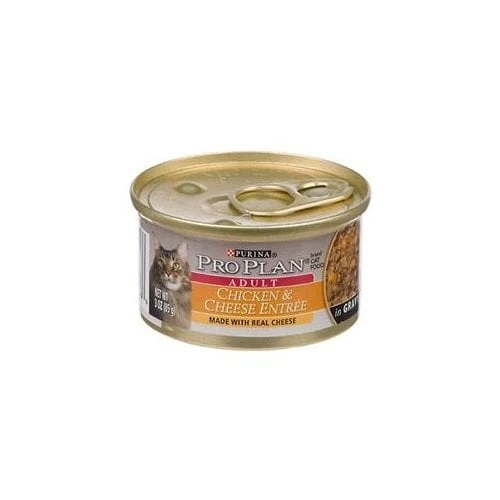 PP CAT CHICKEN & CHEESE 3OZ