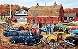 Barnyard Gems 1000 Piece Multi-colored Puzzle Soiy9816 By Sunsout