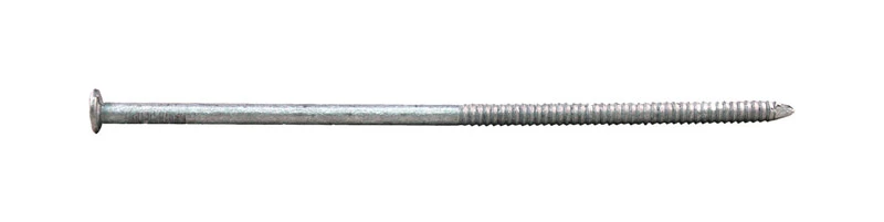 6 In. Galvanized Pole Barn Nail 5 Lb - 60d Steel Ring Shank