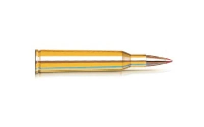 HORNADY 220 SWIFT 55GR VMAX