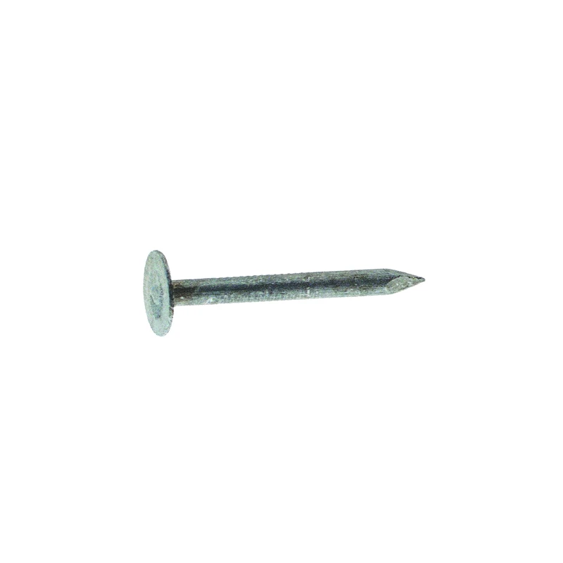 1 In. Electro-galvanized Steel Roofing Nails, 11-gauge, 5 Lb Box
