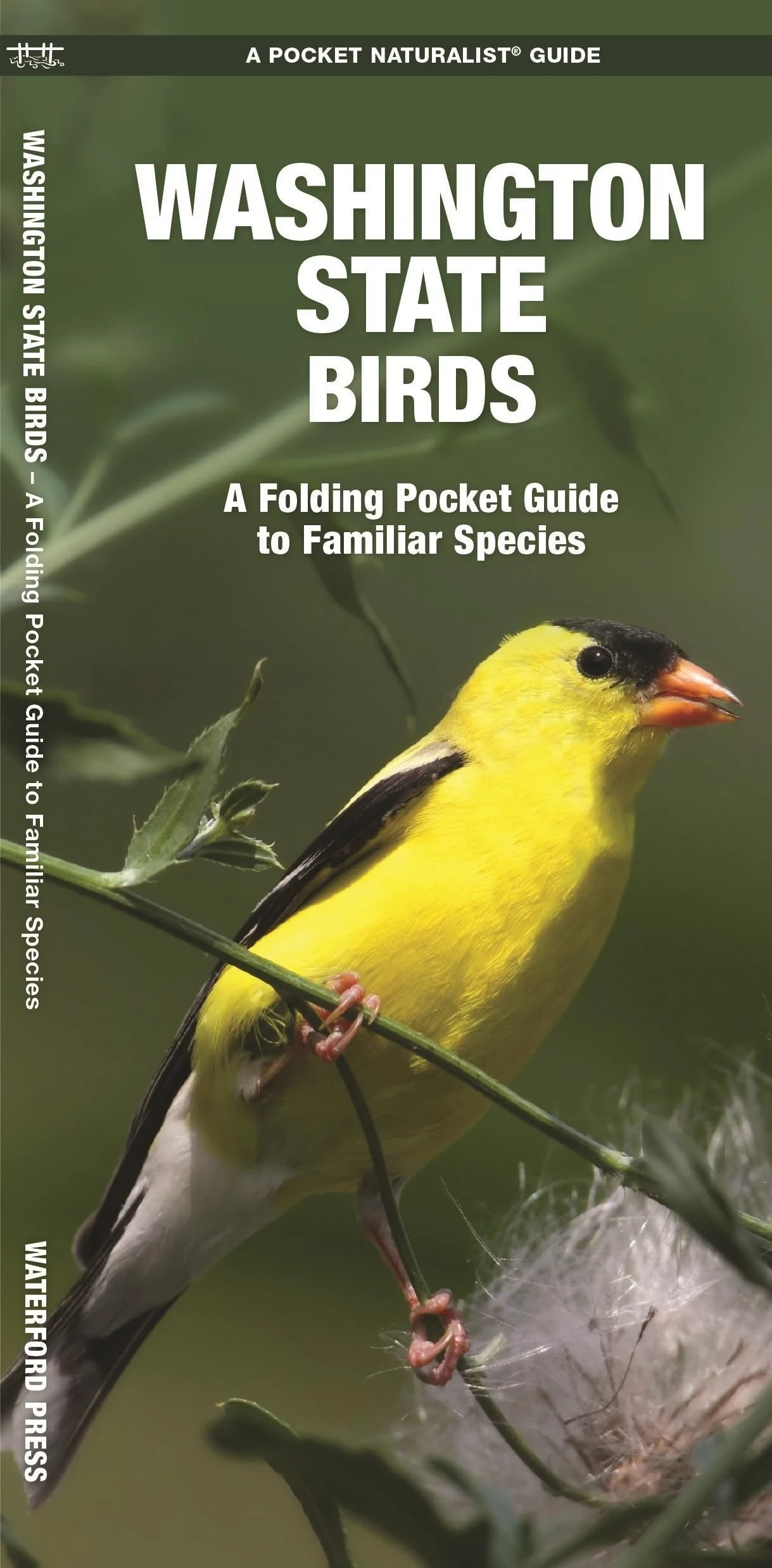 Washington State Birds: A Comprehensive Folding Pocket Guide To Familiar Species