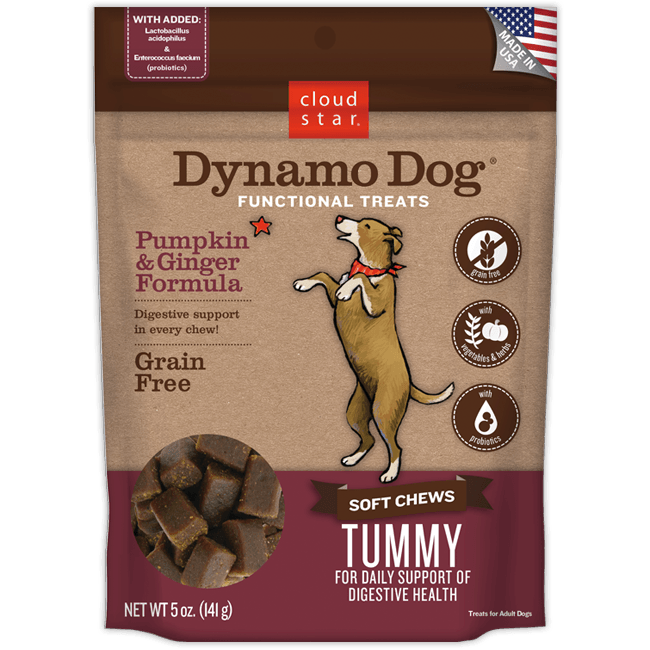 Dynamo Soft Chews For Sensitive Stomachs, Pumpkin & Ginger, 5 Oz.