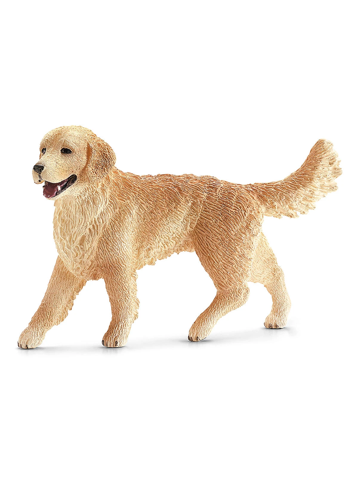 Golden Retriever female