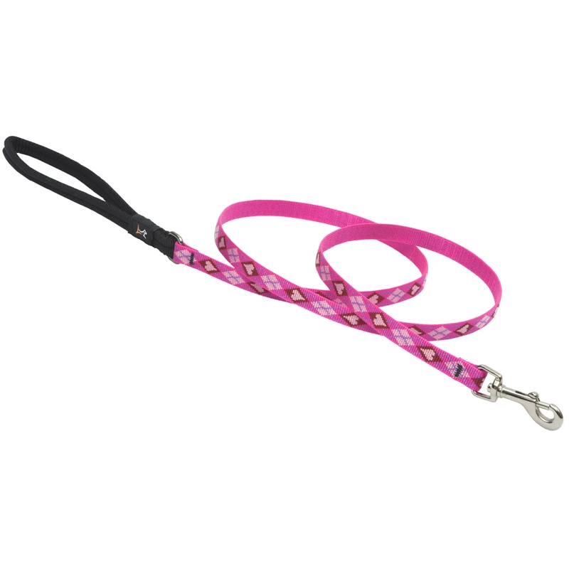 1/2" X 4' Puppy Love Design Nylon Dog Leash - Model 14238