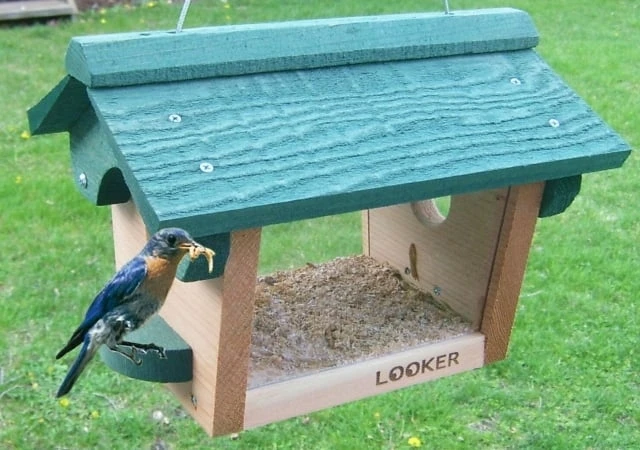 Se557 Bluebird Feeder, Cedar, 12l X 9w X 8h In.
