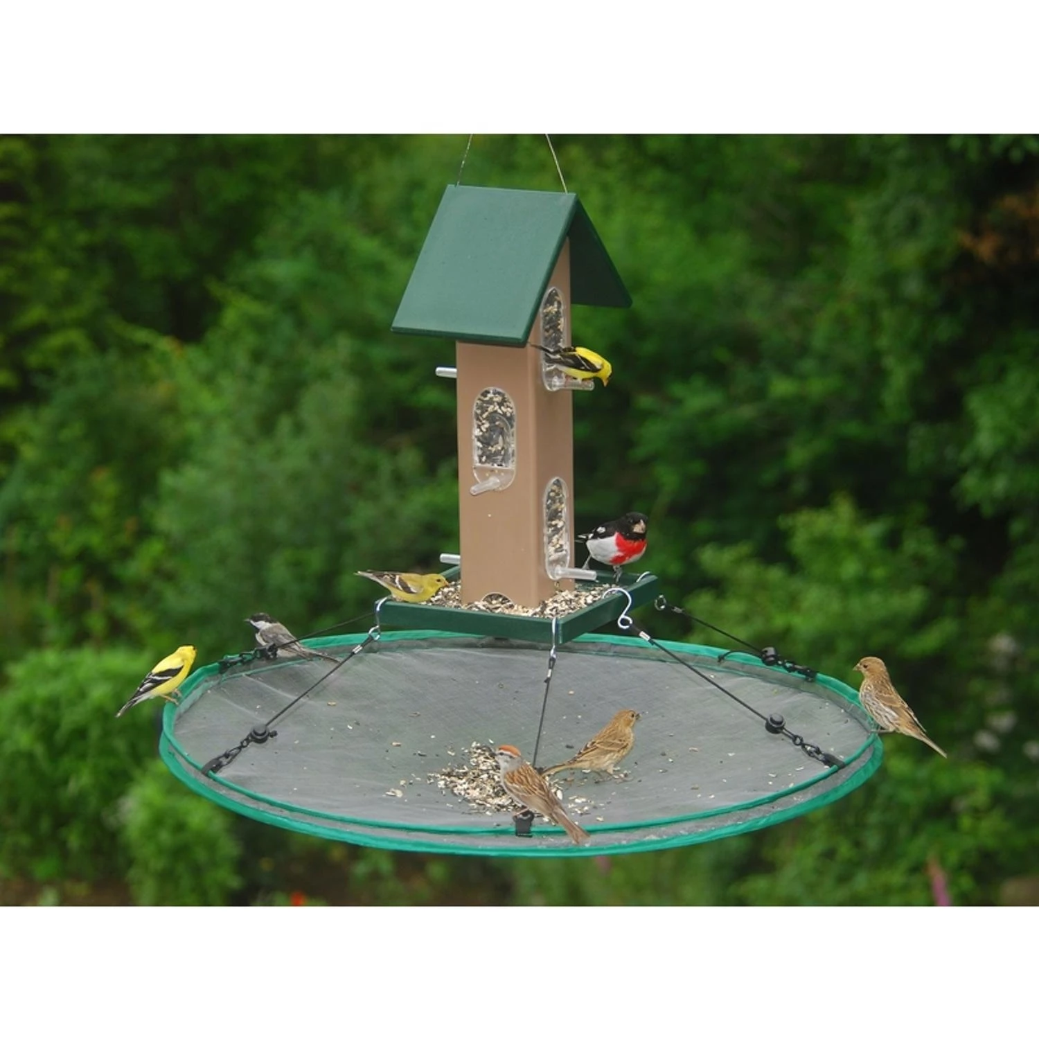 30 Inch Seed Hoop Seed Catcher & Platform Feeder - Green