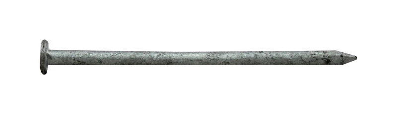 3 In. 10d Hot-dipped Galvanized Steel Common Nails 5 Lb Boxed