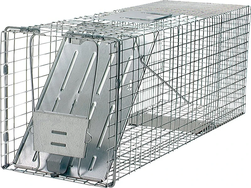 32 In. Large Live Animal Trap, Galvanized Steel, 1-door, Model 1079