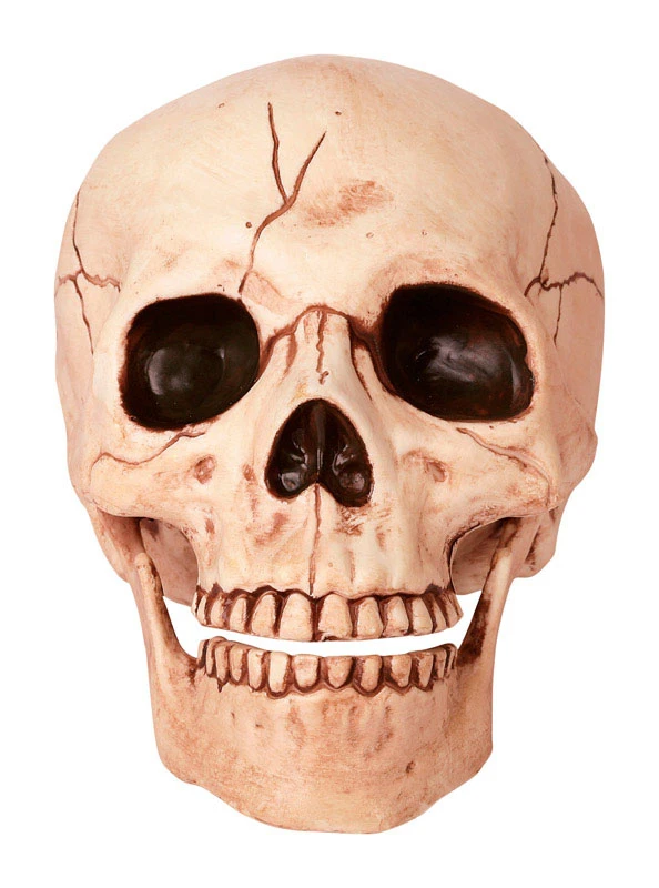 Skull with Moving Jaw Lighted Halloween Decoration