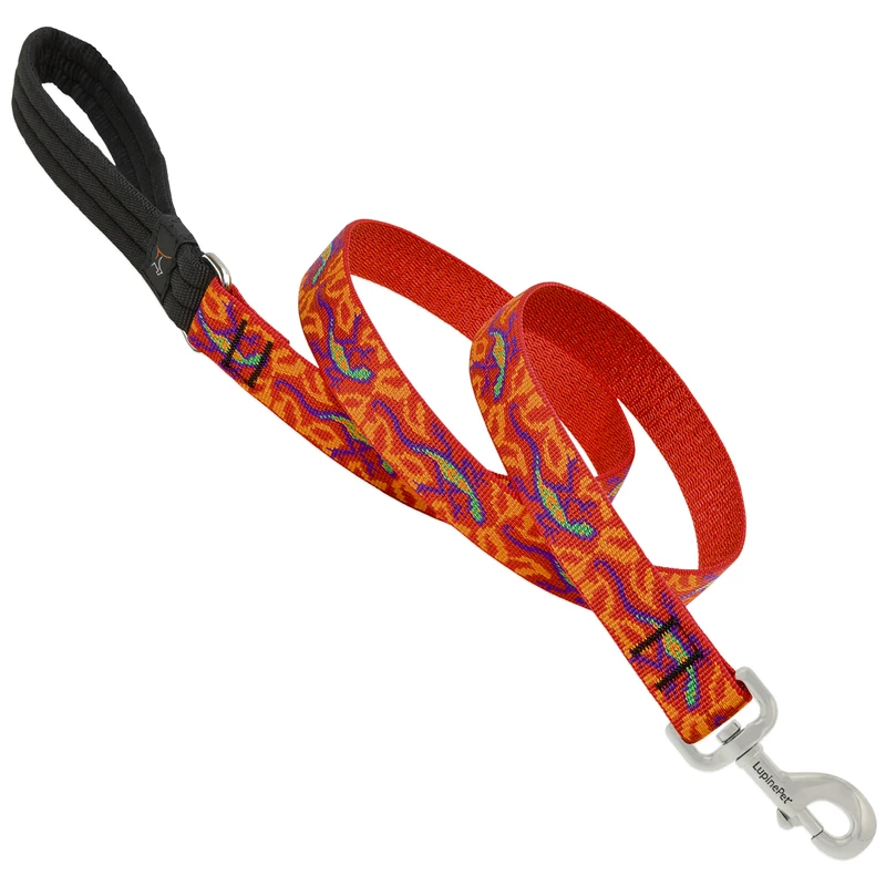 Go Go Gecko Multicolor Nylon Dog Leash 1in. X 4ft. Model 41058