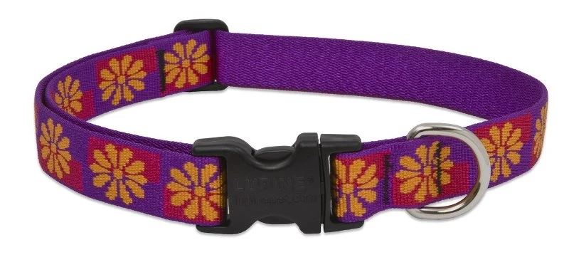 1-inch Flower Box Adjustable Dog Collar 16-28 Inches 78553