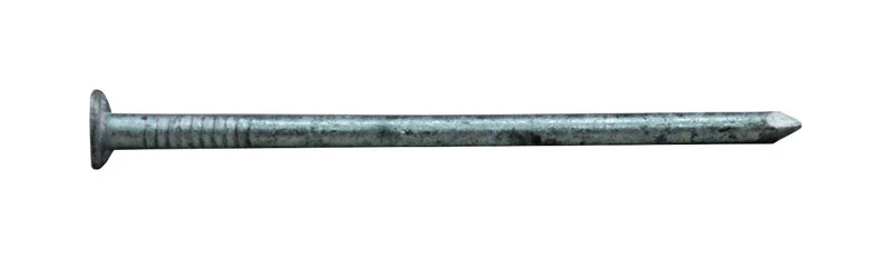 2-1/2 In. 8d Hot-dipped Galvanized Box Nails - 1 Lb