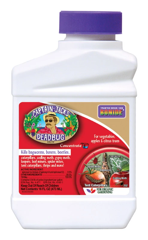Captain Jack's Deadbug Brew Outdoor Organic Insecticide & Mite Killer, 16 oz. Concentrate