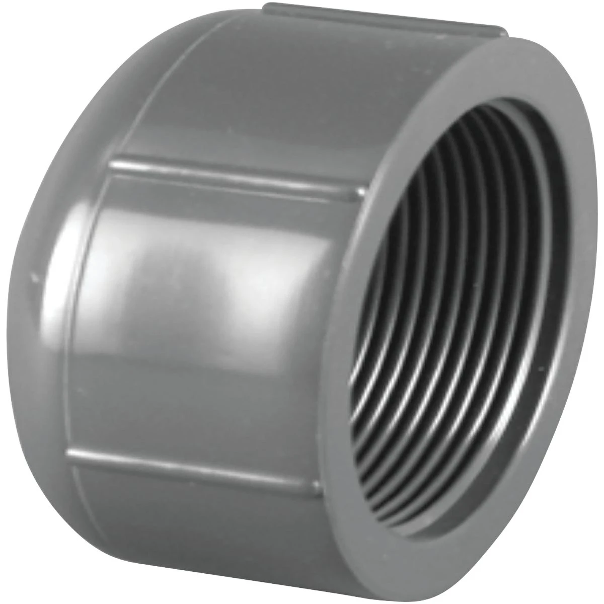 Charlotte Pipe 1/2-in dia PVC Sch 80 Cap